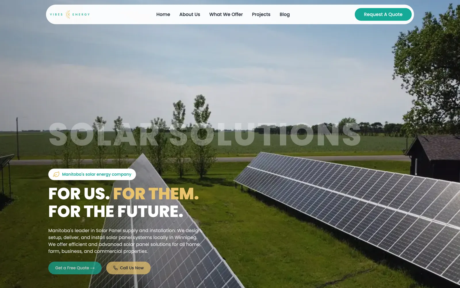 Screenshot of the Vibes Energy website
